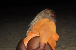 KAASH (BIG BOOTY 🍑🍫 BBW ) - 25 - Image 3